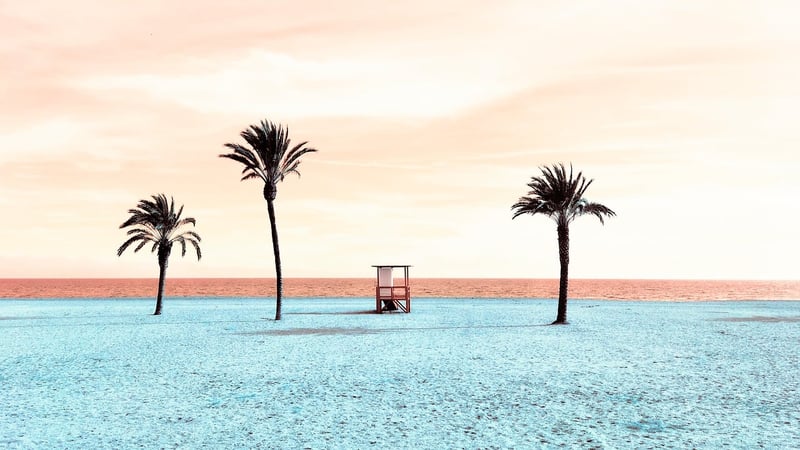 Palm trees on a tropical beach